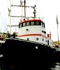 ساحلی tugboat / فروش