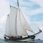 sailing charter clipper