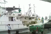 TUNA LONG LINER - RSW