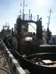 TWIN SCREW HARBOUR & OCEAN GOING TUG