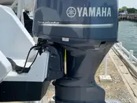 2010 Passenger Vessel Day Cruiser