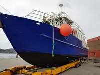 Multi ROV/PASSENGER/PILOT/YACHT for sale in Norway